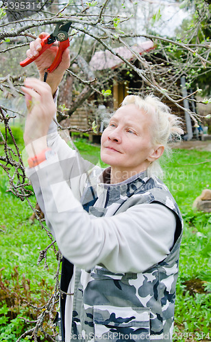 Image of Woman cuts a branch at an Apple-tree, a spring in the garden 