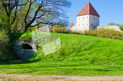 Image of Spring in park of Tallinn