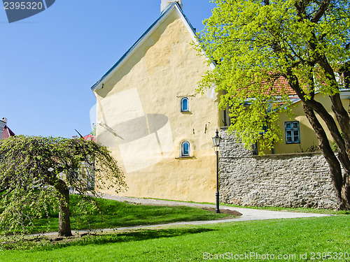 Image of Spring in park of Tallinn