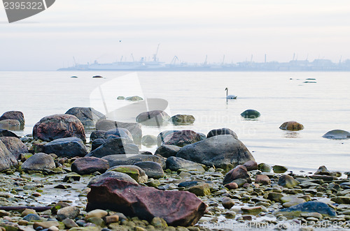 Image of Stony coast of Baltic sea early in the morning