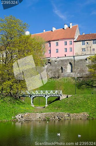 Image of Spring in park of Tallinn
