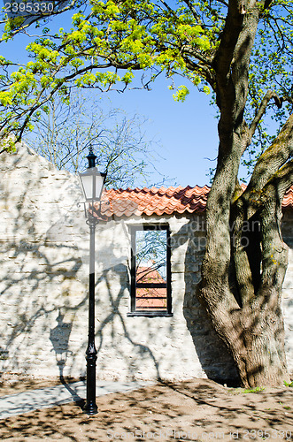 Image of Spring in park of Tallinn