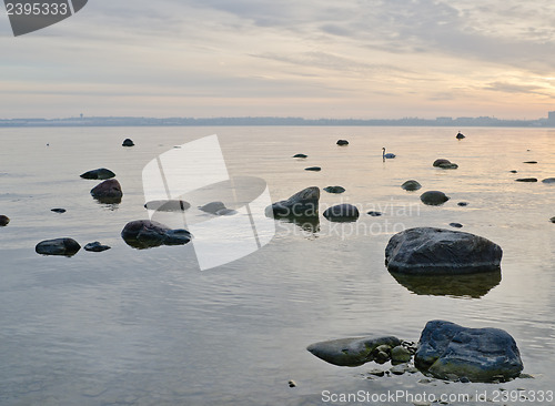 Image of Stony coast of Baltic sea early in the morning