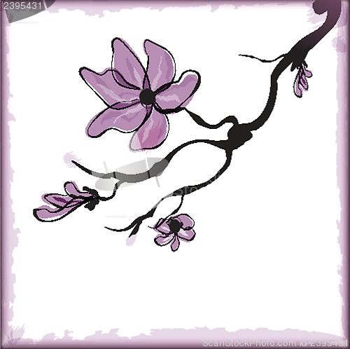 Image of Cherry blossom ,sakura flower.