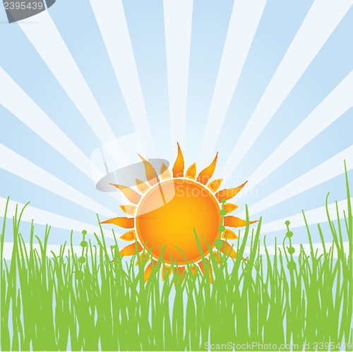 Image of Sun over white - vector illustration