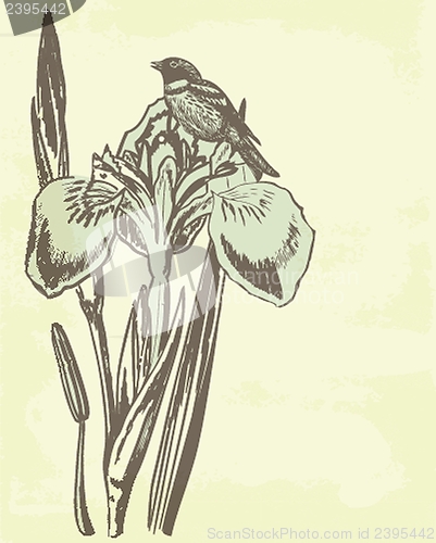 Image of Vintage card with lily.
