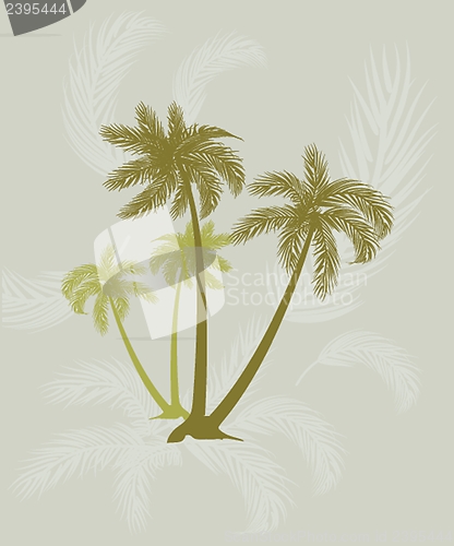 Image of Palm trees