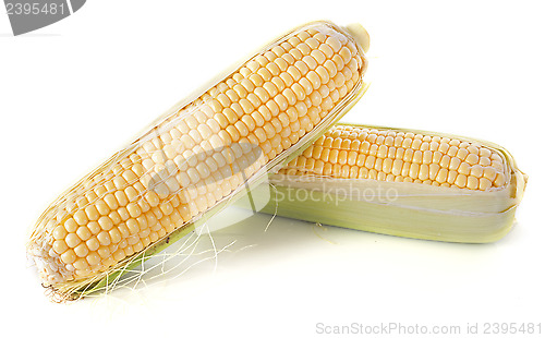 Image of sweet corn