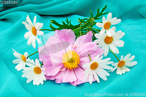 Image of Japanese anemone and marguerites