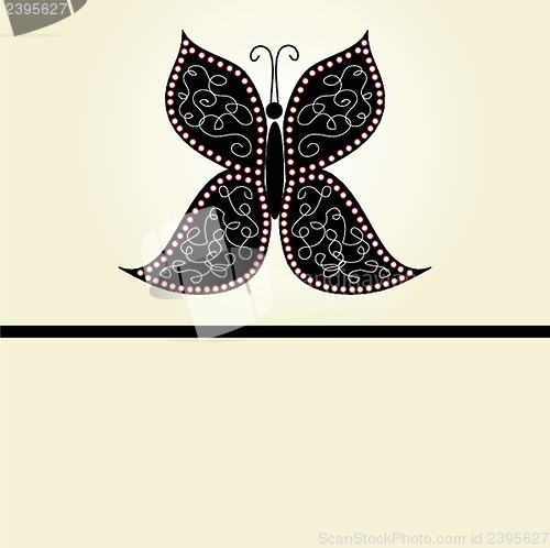 Image of Various vector butterflies on  background