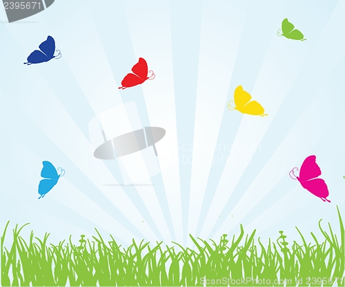 Image of Floral card with butterflies