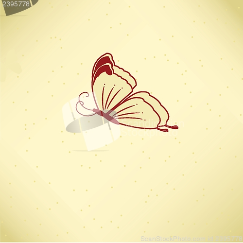 Image of Various vector butterflies on  background