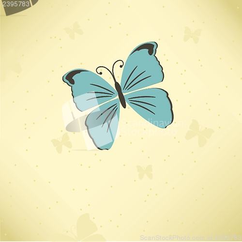 Image of Various vector butterflies on  background