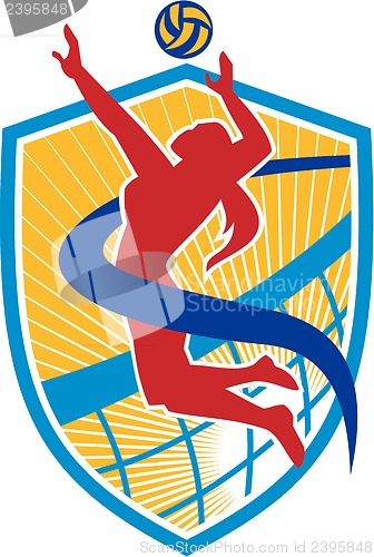 Image of Volleyball Player Spiking Ball Shield