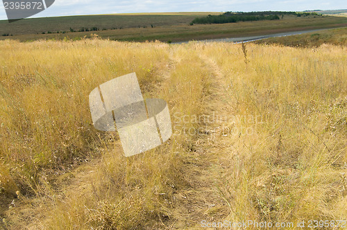 Image of steppe road