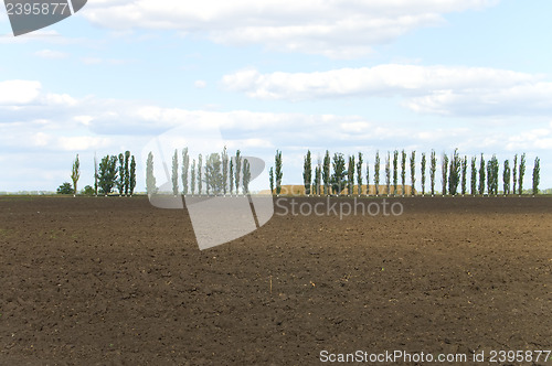 Image of field in autumn