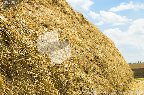 Image of straw