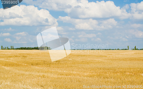 Image of after harvesting