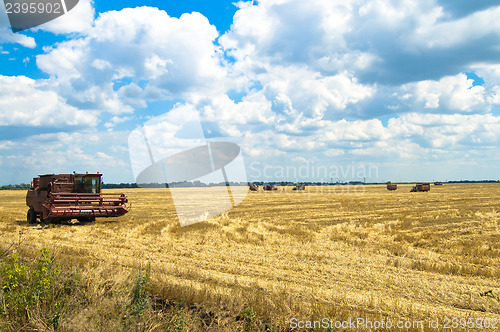 Image of harvesting