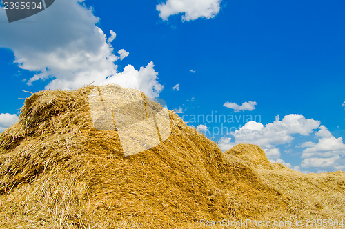 Image of straw