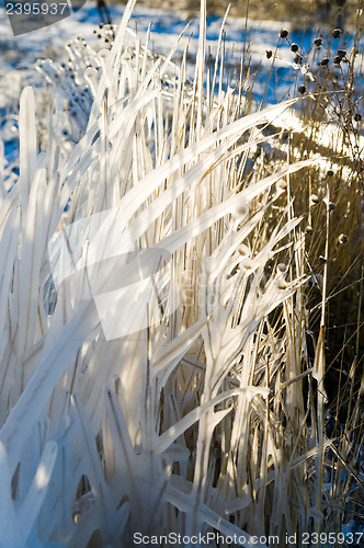 Image of frozen grass