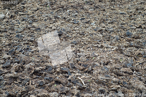 Image of textured earth