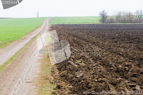 Image of road in fog