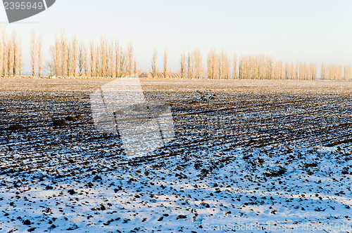 Image of cultivated field under snow