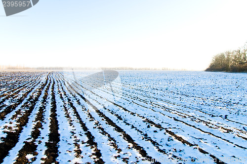 Image of winter field