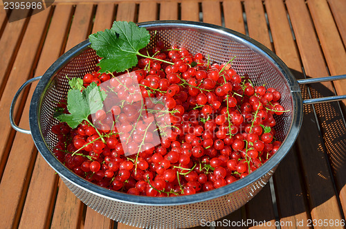 Image of Bowl with red currants