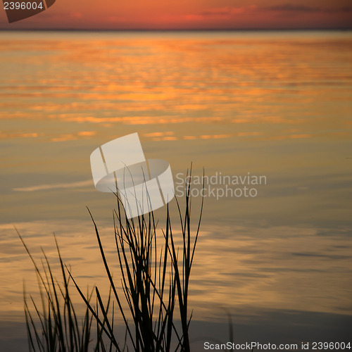 Image of Water reflections