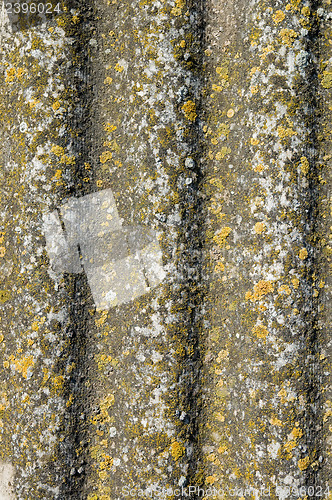 Image of asbestos