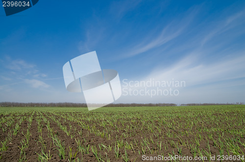 Image of rural view