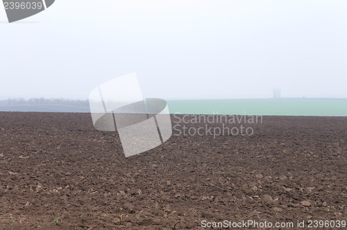 Image of fild and fog