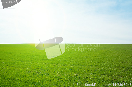 Image of field and sun