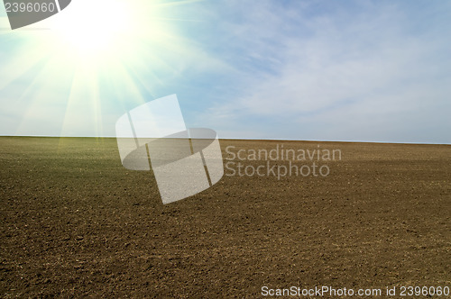 Image of sunny black field