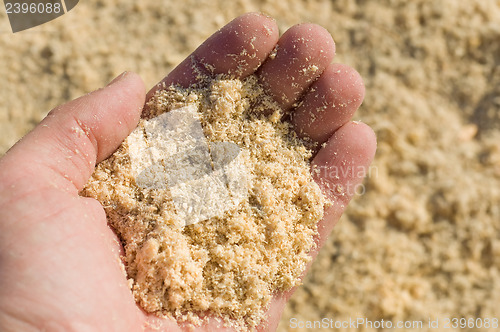 Image of saw dust in hand