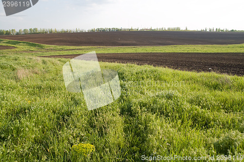 Image of view to green field at spring