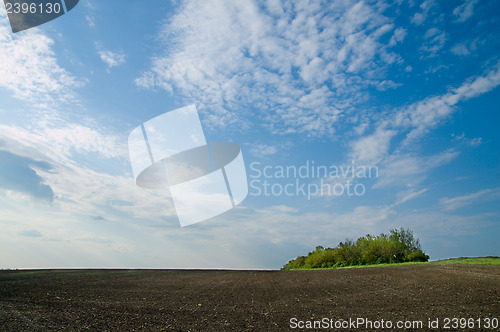 Image of black field in spring under blue sky with clouds