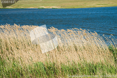 Image of cane and water