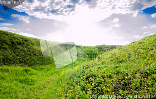 Image of grassland