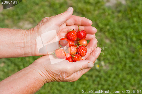 Image of strawberry and cherry