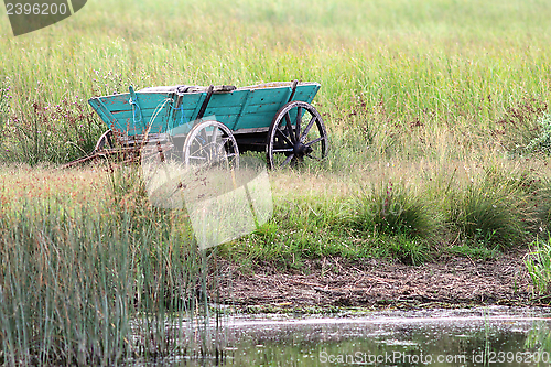 Image of olr cart abandoned in the swamp