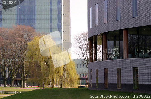 Image of trees and architecture