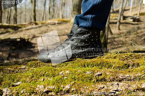 Image of human leg stand walk mossy tree trunk forest park 