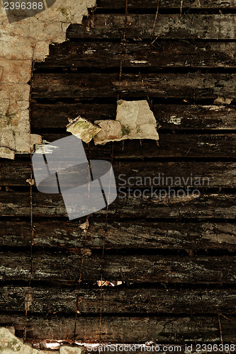Image of Wood texture closeup photo