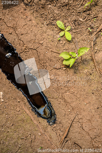 Image of Oil contaminating the soil