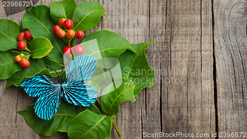 Image of Paper Butterfly