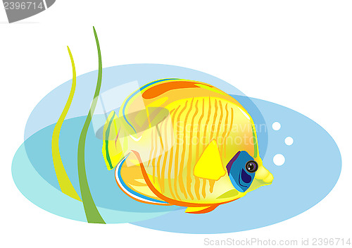 Image of cartoon tropical fish