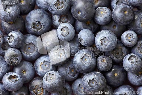 Image of blueberries background